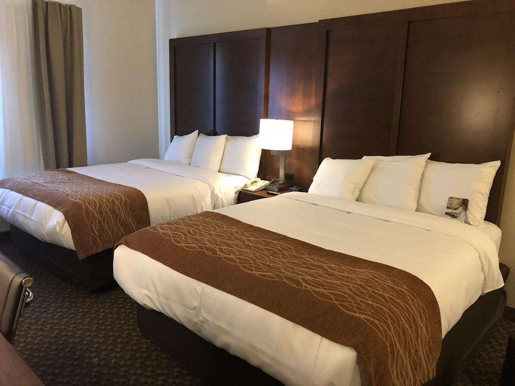 Comfort Inn & Suites Sw Houston Sugarland Eksteriør bilde